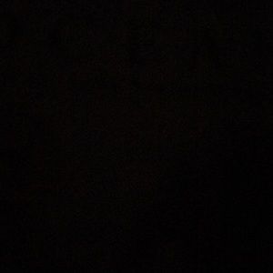 Meet your Posher, Lyn